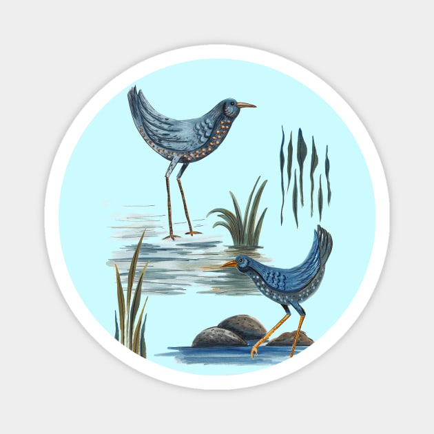 Water Birds Magnet by SWON Design